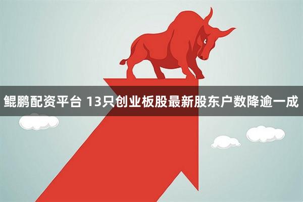 鲲鹏配资平台 13只创业板股最新股东户数降逾一成
